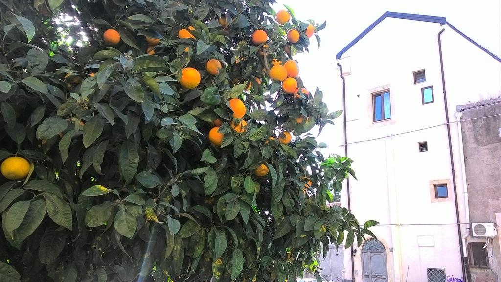 Odeonhouse - - Parking Included Apartment *